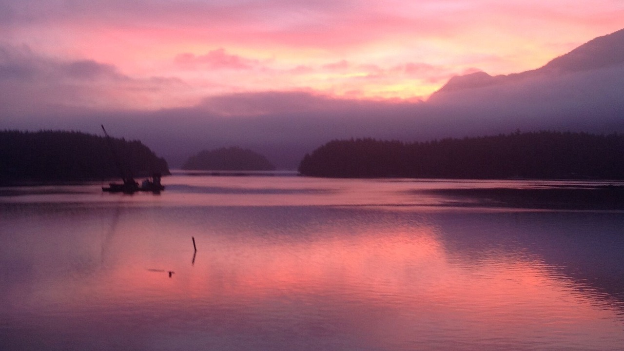 Photo of Others in Tofino