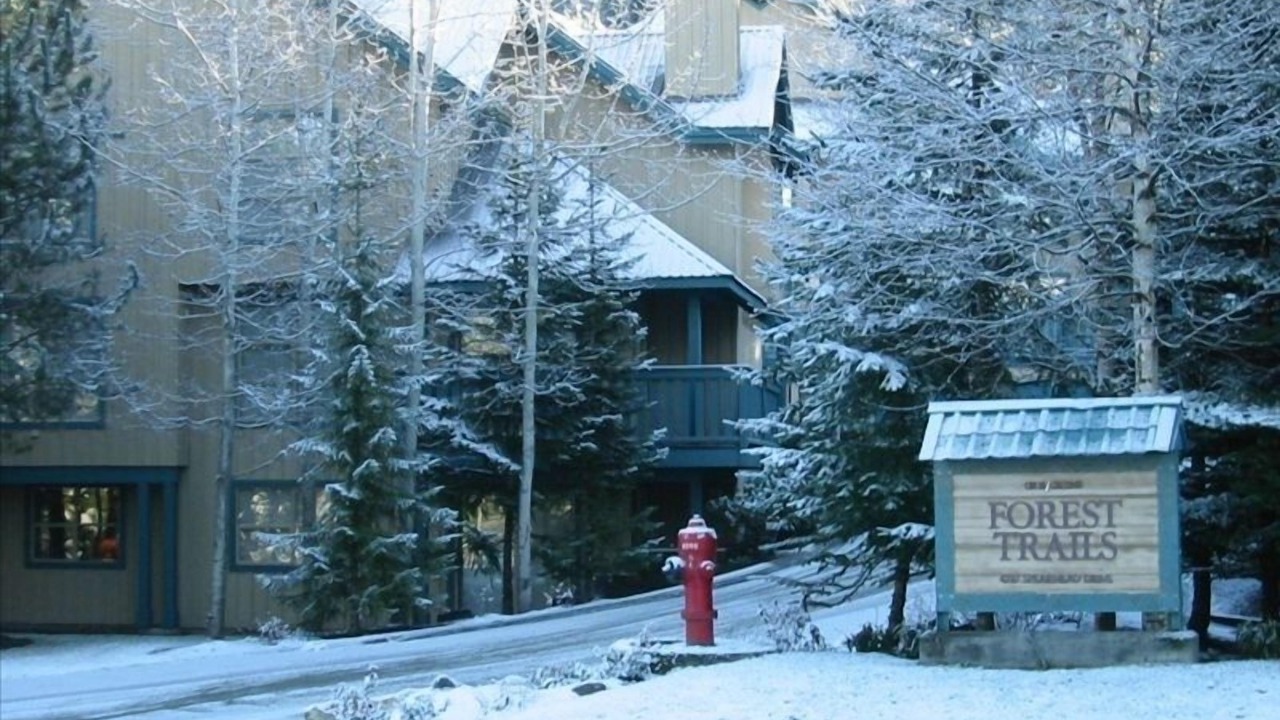 Photo of Others in Blackcomb
