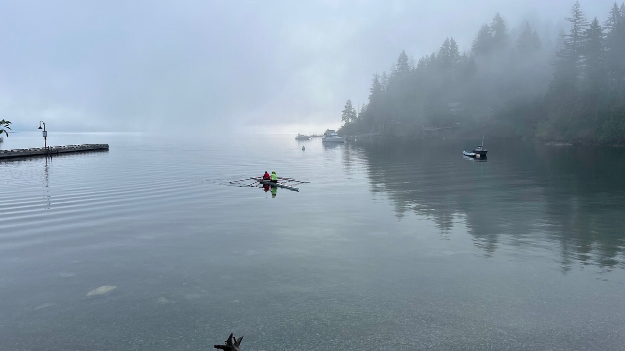 Photo of Others in Deep Cove