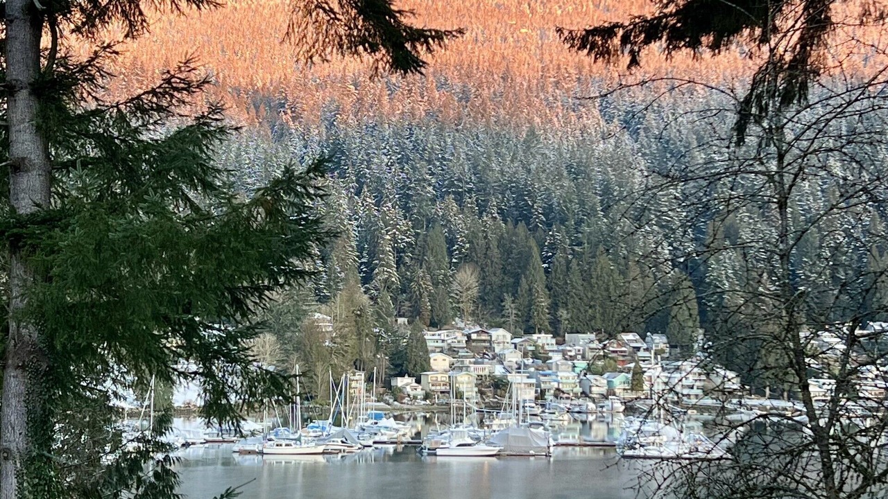 Photo of Bedroom in Deep Cove