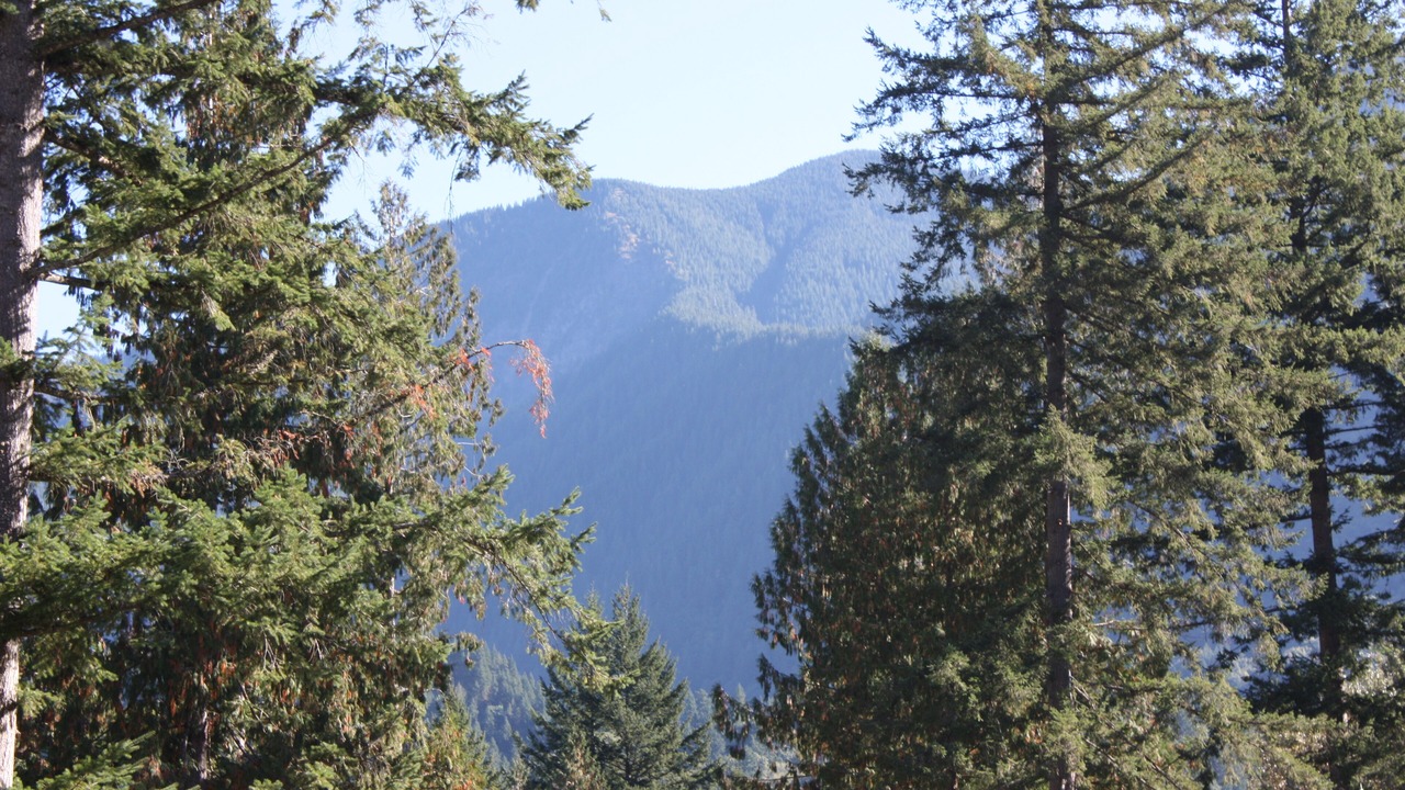 Photo of Others in Lindell Beach