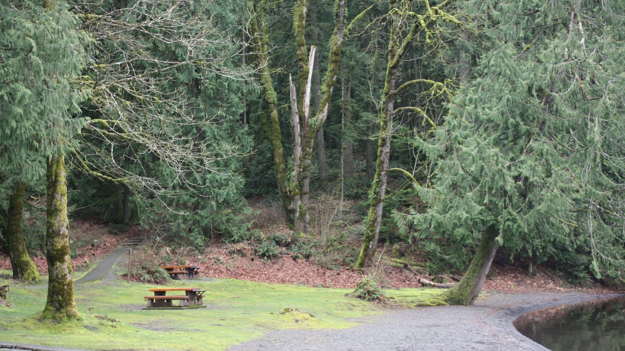 Photo of Outdoor in Lindell Beach