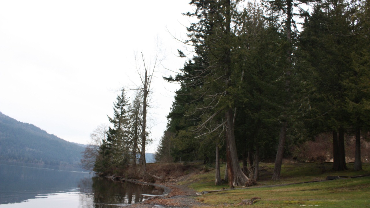 Photo of Outdoor in Lindell Beach