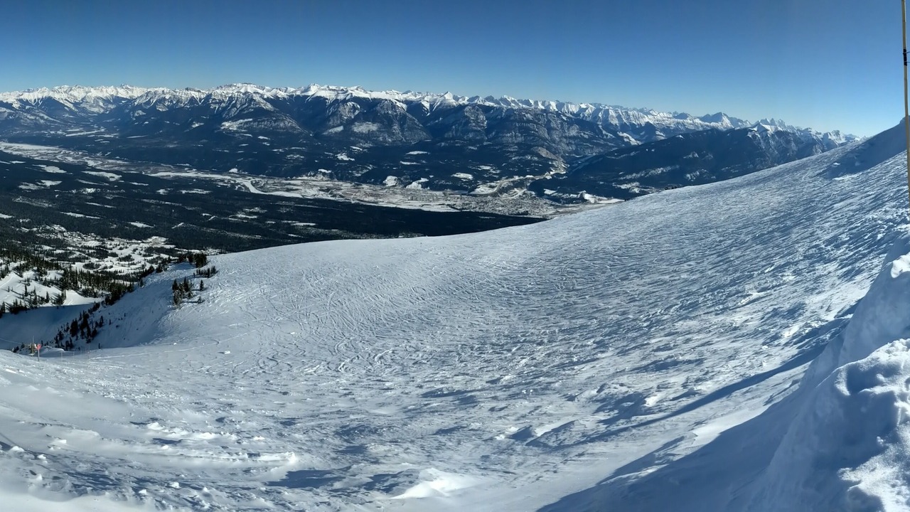 Photo of Others in Golden