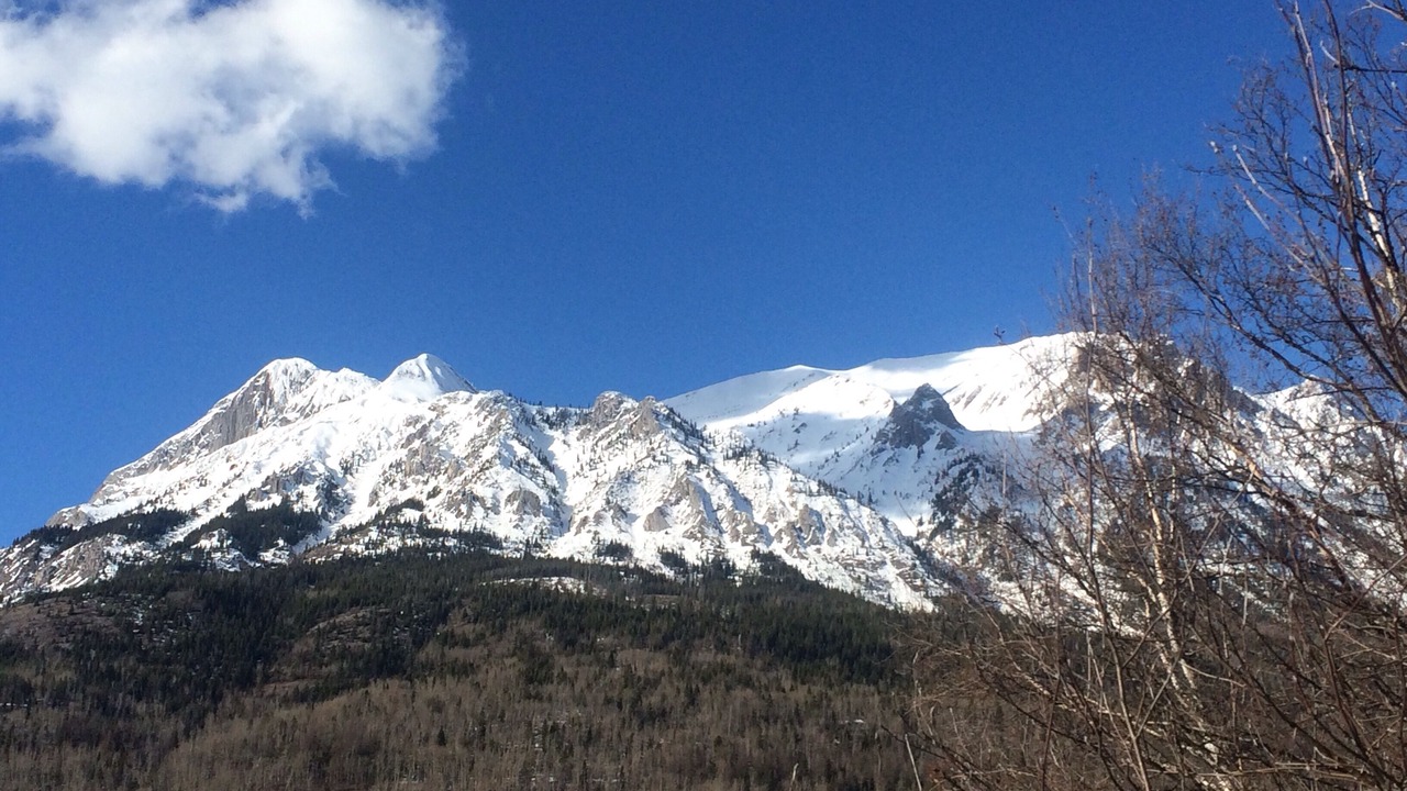 Photo of Others in Fernie
