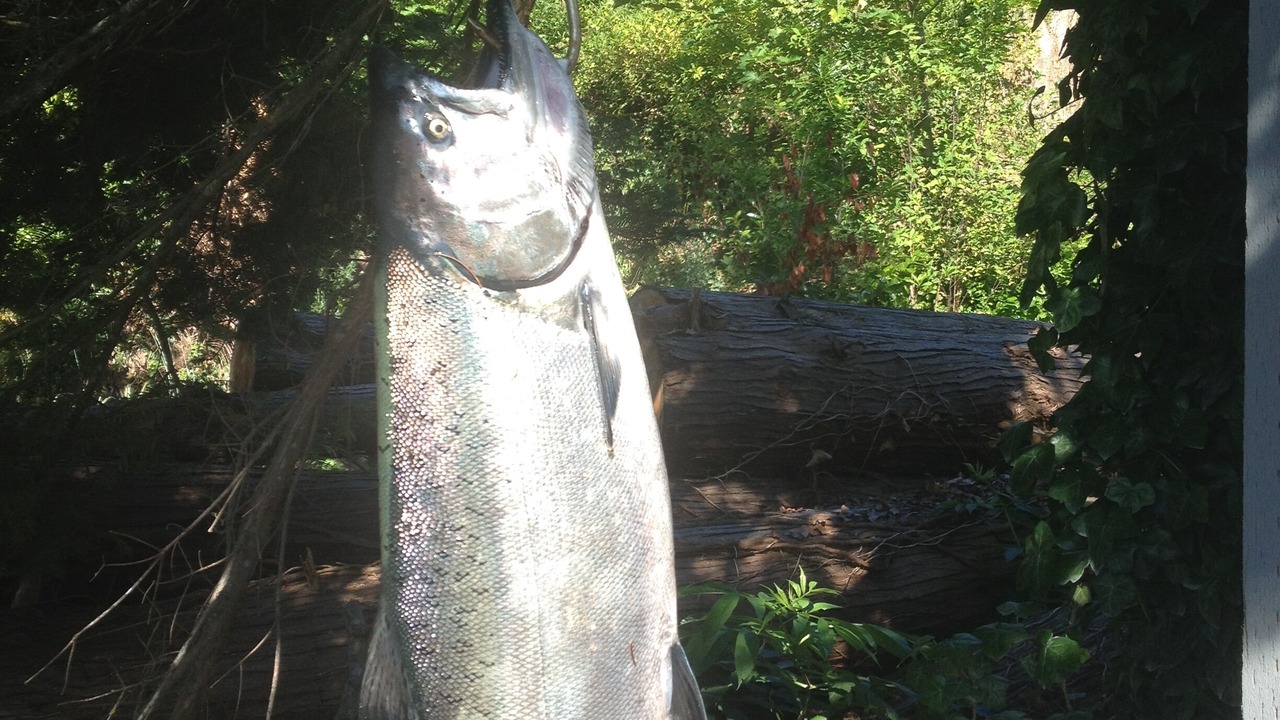 Photo of Others in Sooke