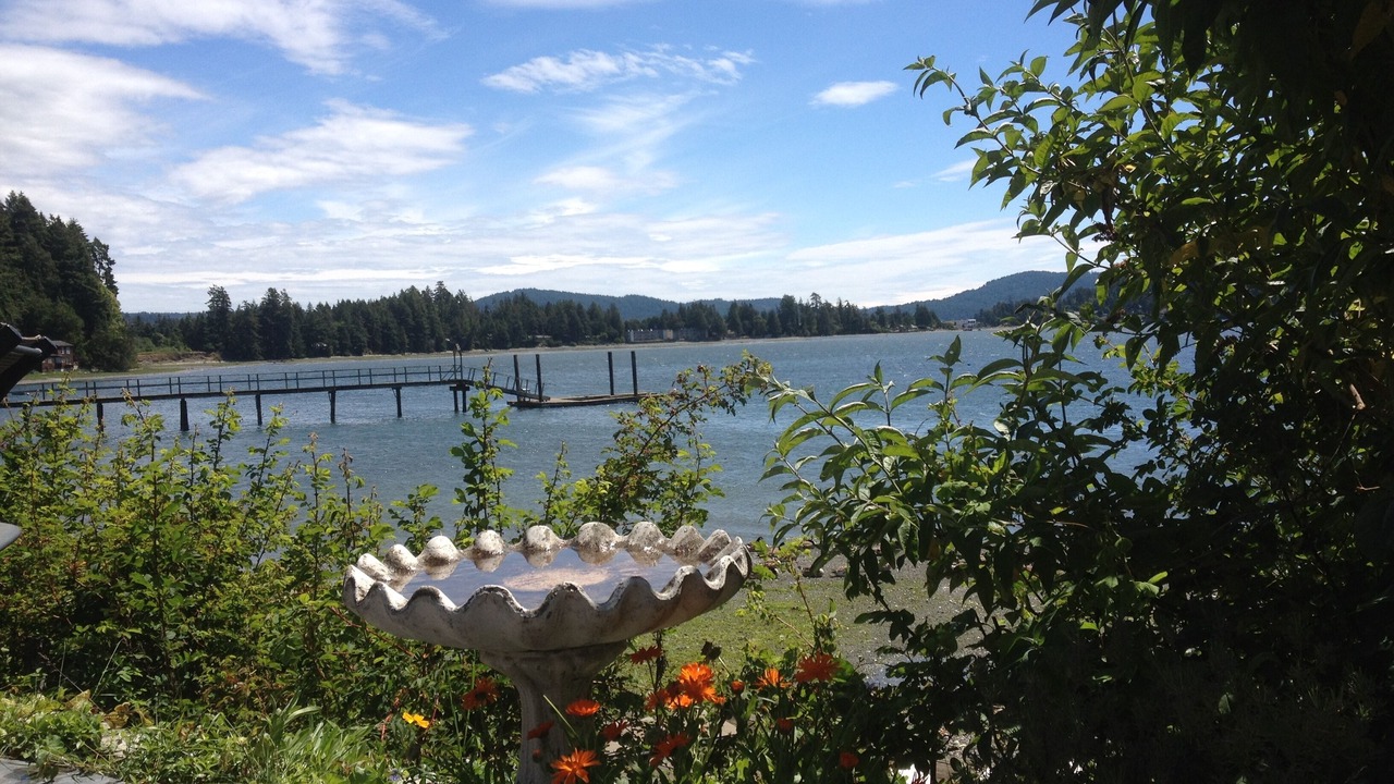 Photo of Others in Sooke