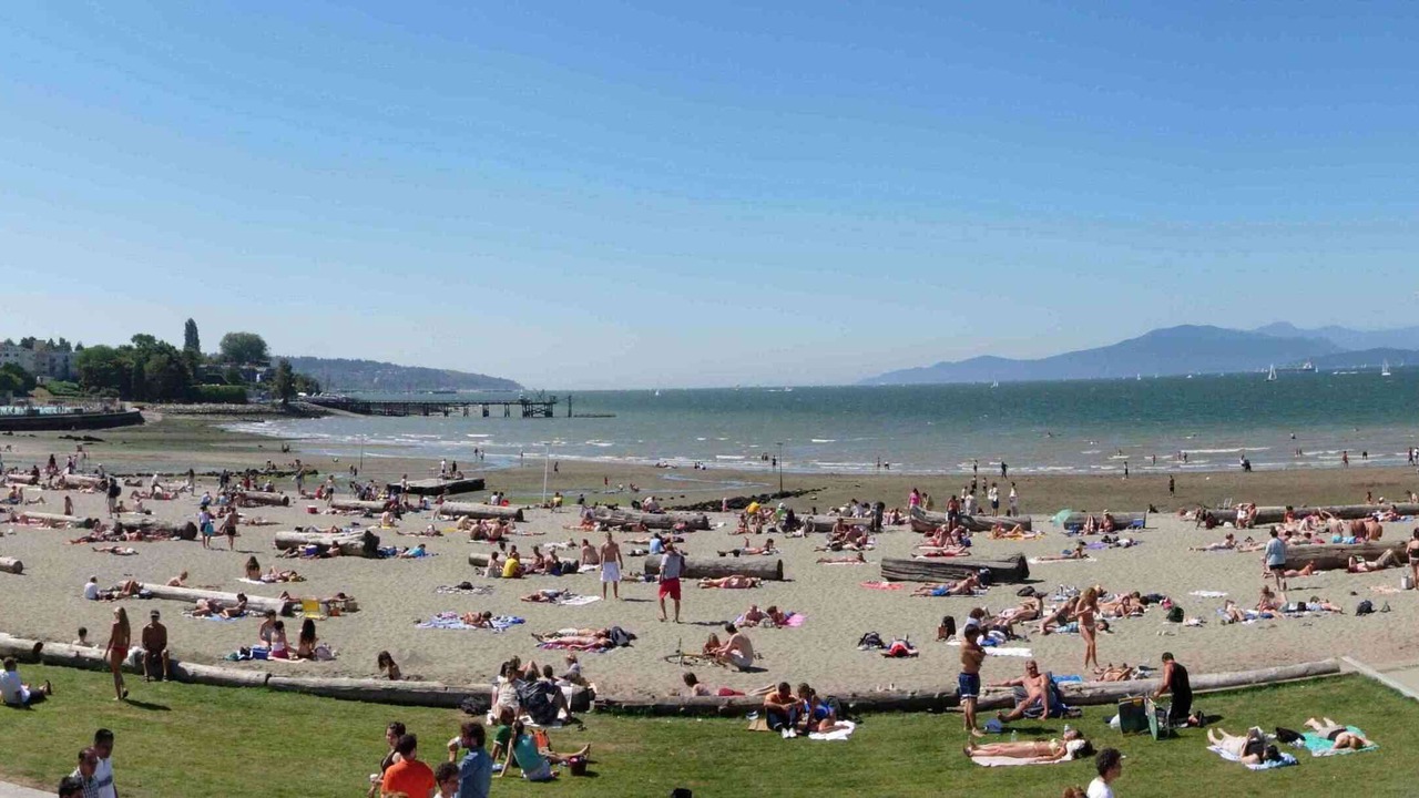 Photo of Others in Kitsilano