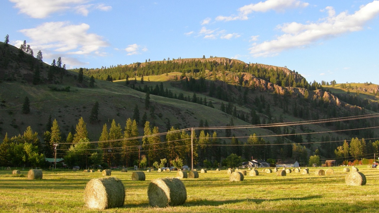 Photo of Others in Rock Creek