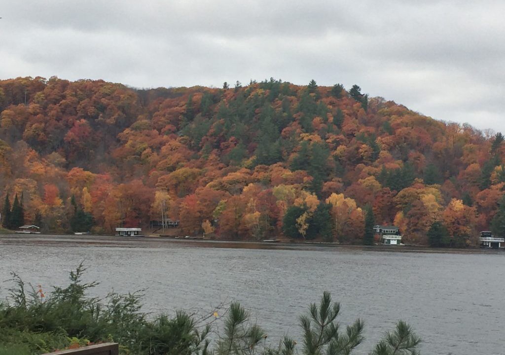 Photo of Others in Lake of Bays