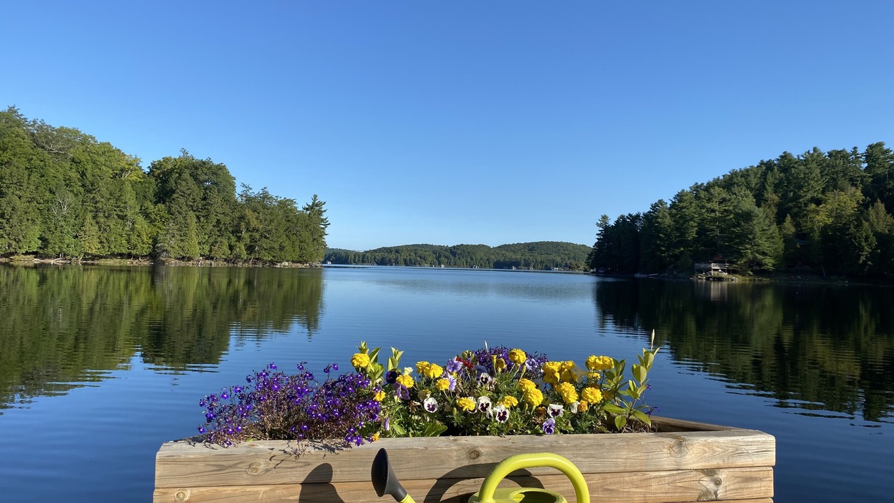 Photo of Outdoor in Lake of Bays