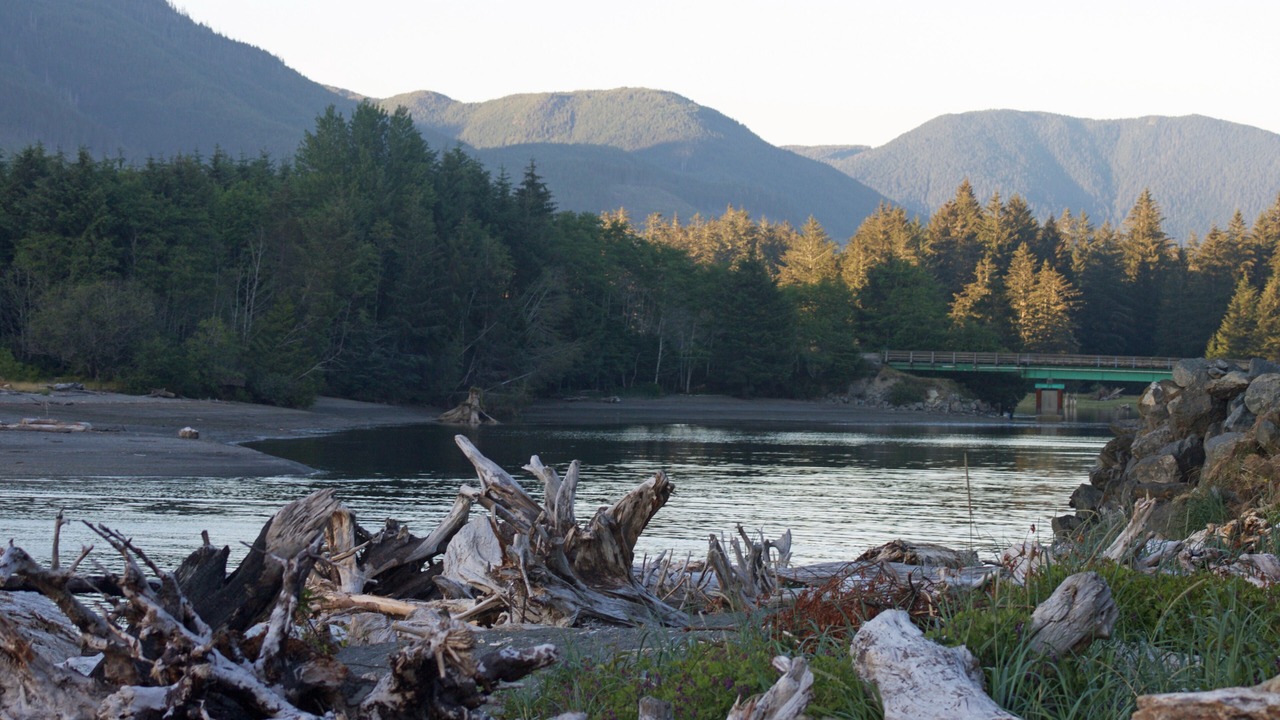 Photo of Others in Port Renfrew
