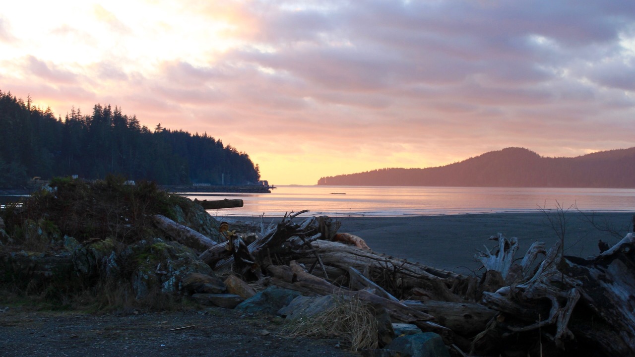 Photo of Others in Port Renfrew