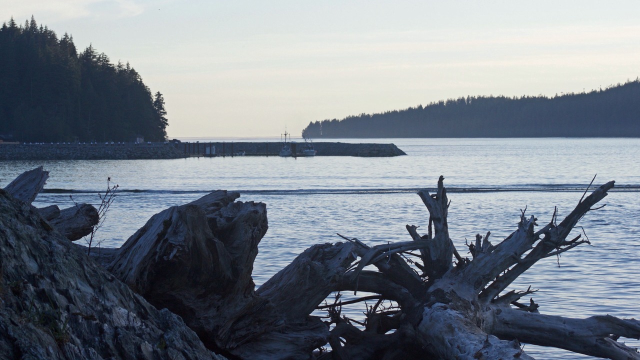 Photo of Others in Port Renfrew