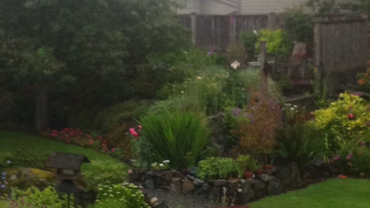 Photo of Outdoor in Oaklands