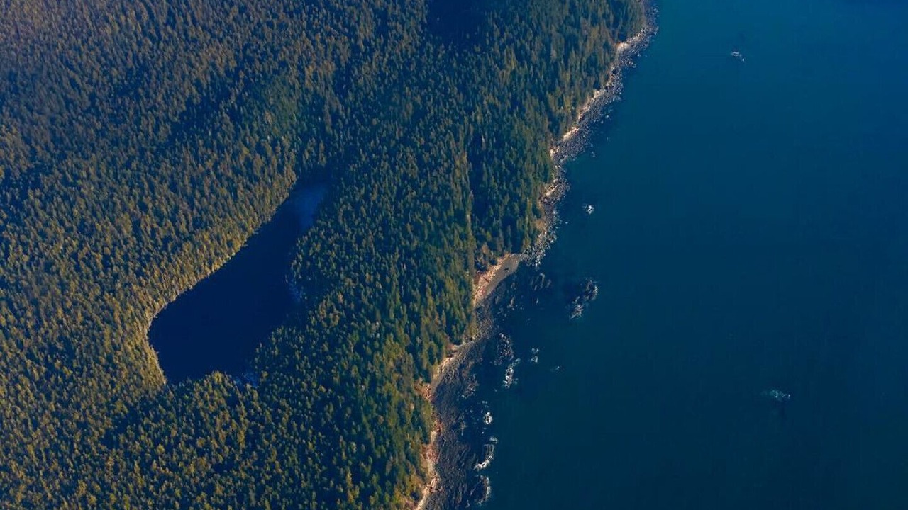 Photo of Outdoor in Port Renfrew