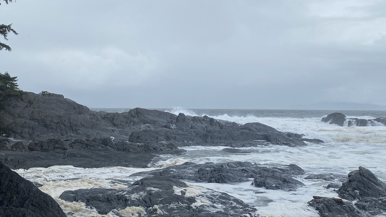 Photo of Others in Port Renfrew