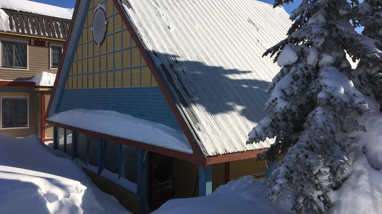 Photo of Others in Silver Star Mountain