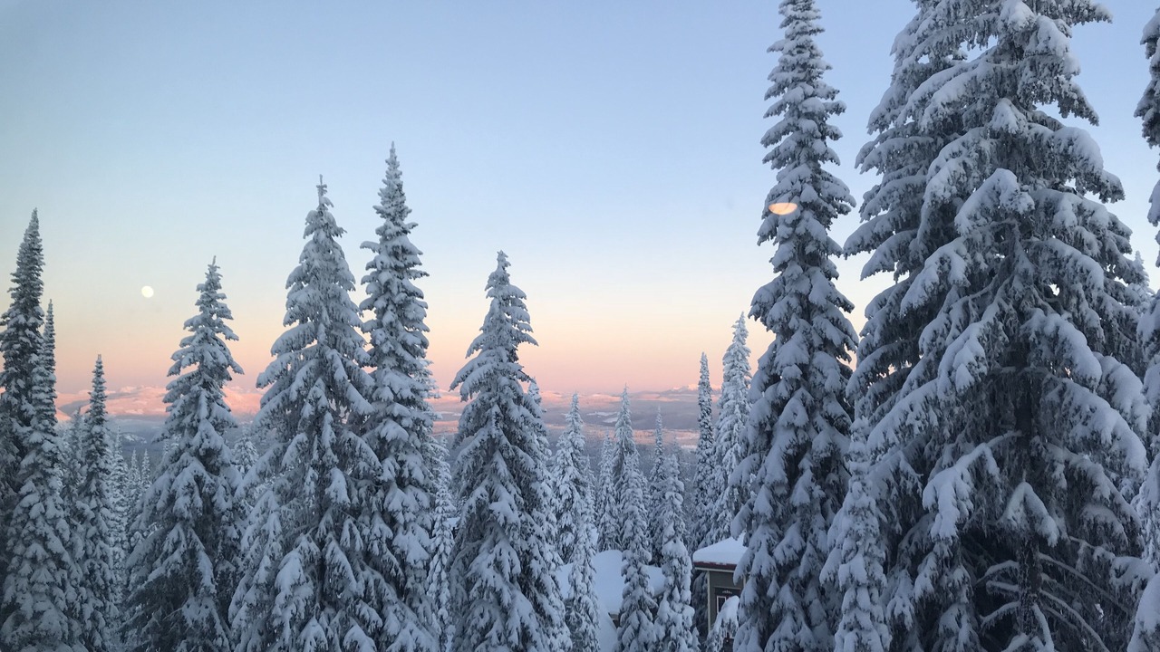 Photo of Bedroom in Silver Star Mountain