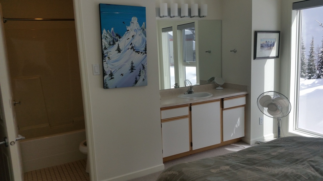 Photo of Bathroom in Silver Star Mountain