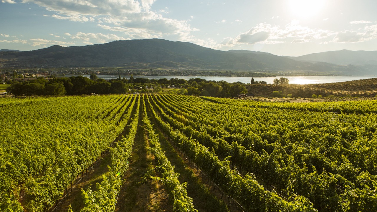 Photo of Outdoor in Osoyoos
