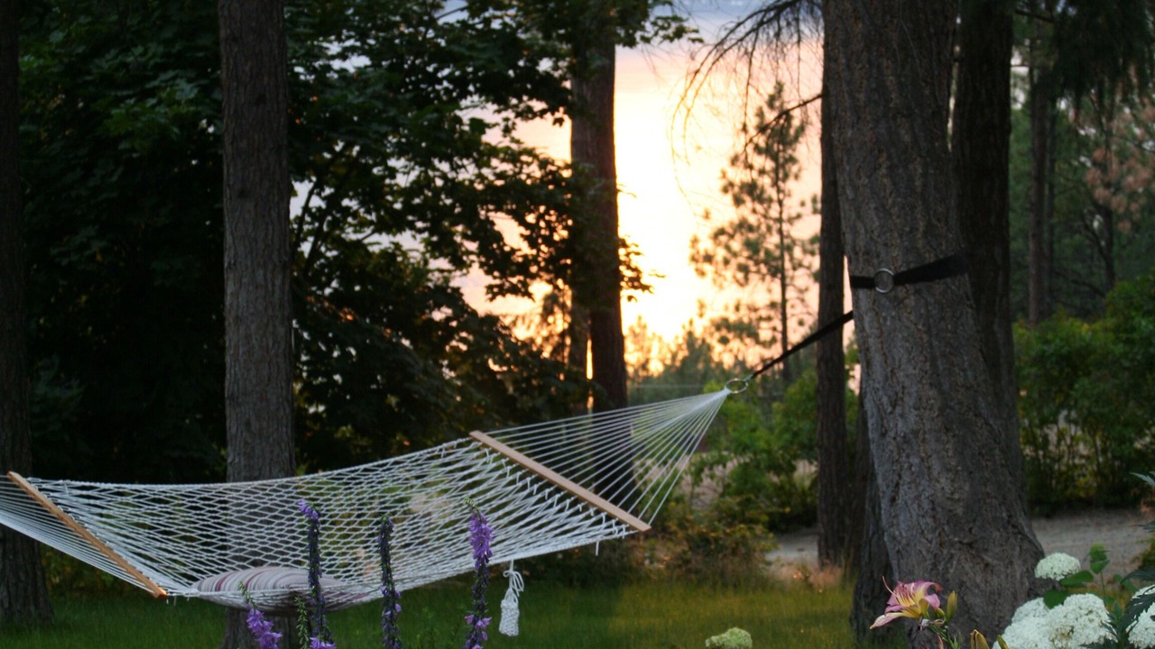 Photo of Others in Central Okanagan
