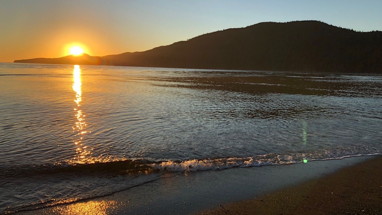 Photo of Others in Port Renfrew