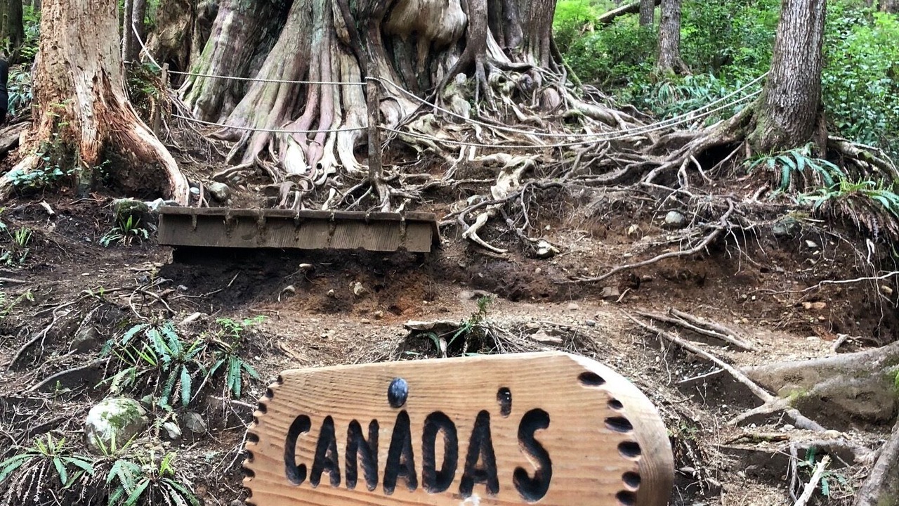 Photo of Outdoor in Port Renfrew