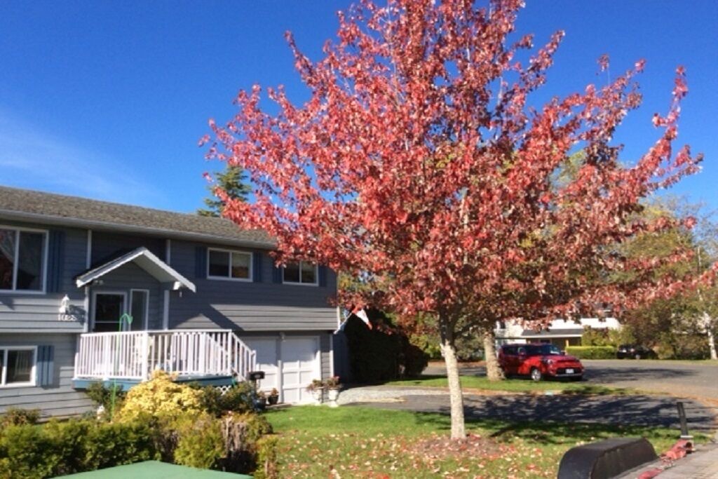 Photo of Outdoor in Sidney