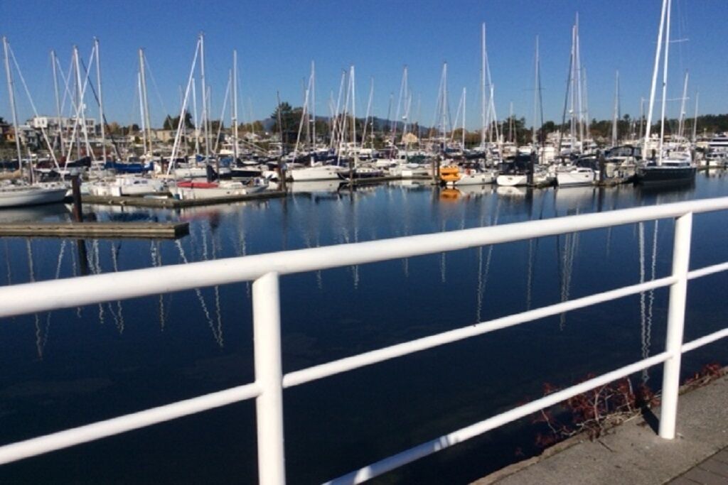 Photo of Others in Sidney