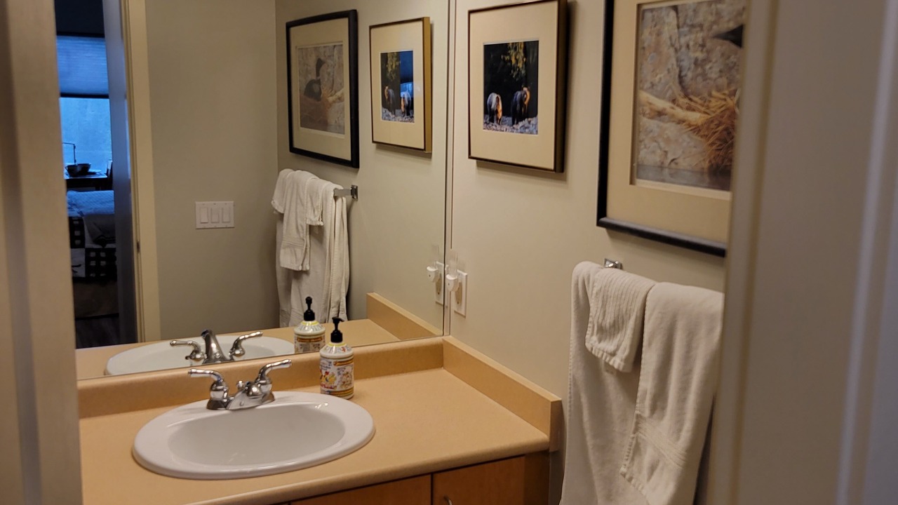 Photo of Bathroom in Courtenay