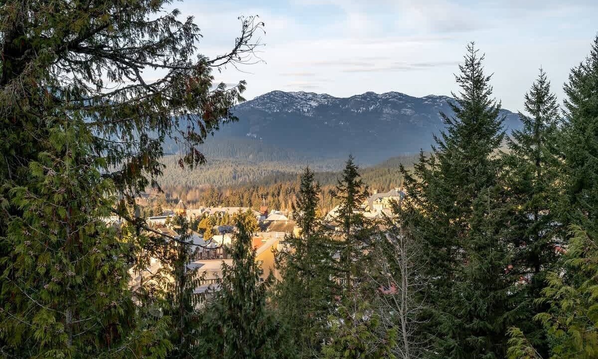 Photo of Others in Whistler Village