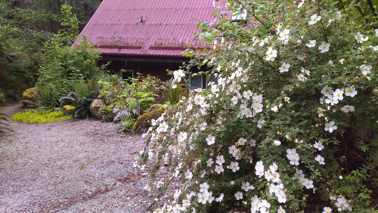 Photo of Outdoor in Madeira Park