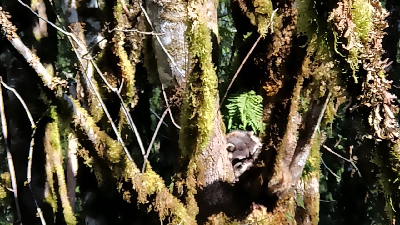 Photo of Outdoor in Madeira Park