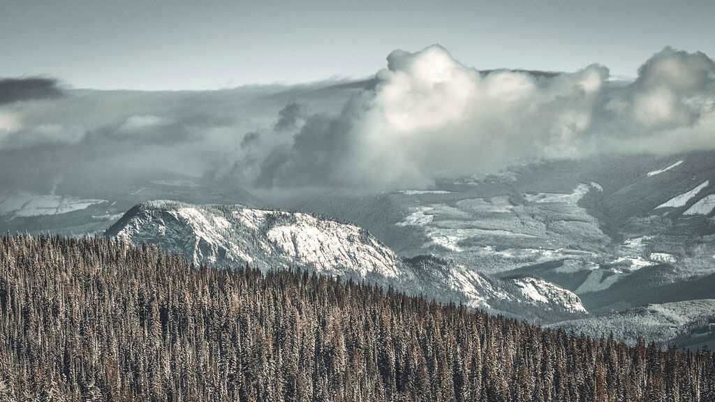 Photo of Others in Silver Star Mountain