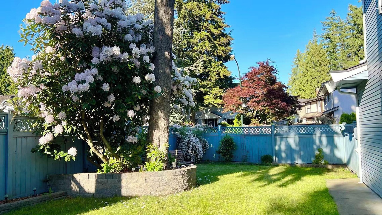 Photo of Outdoor in Delta