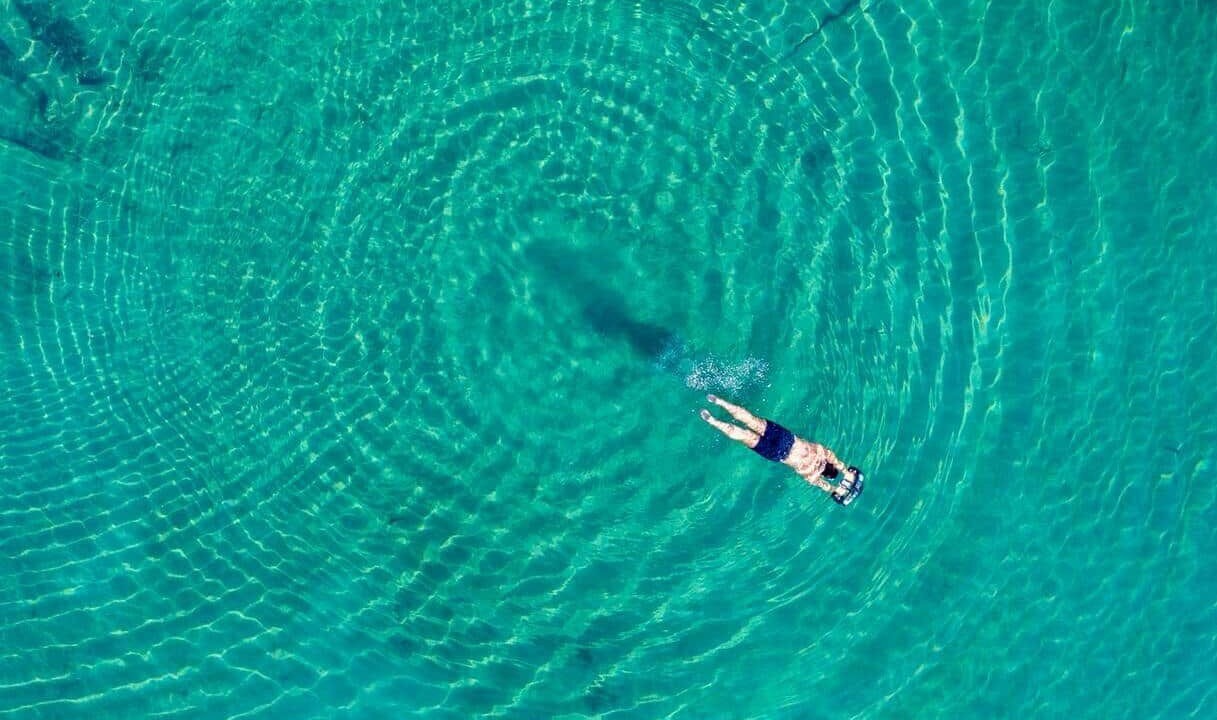 Photo of Others in Sproat Lake