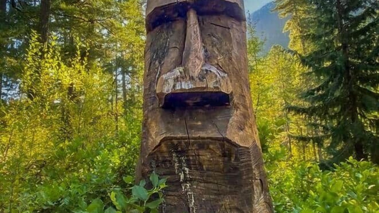 Photo of Others in Sproat Lake