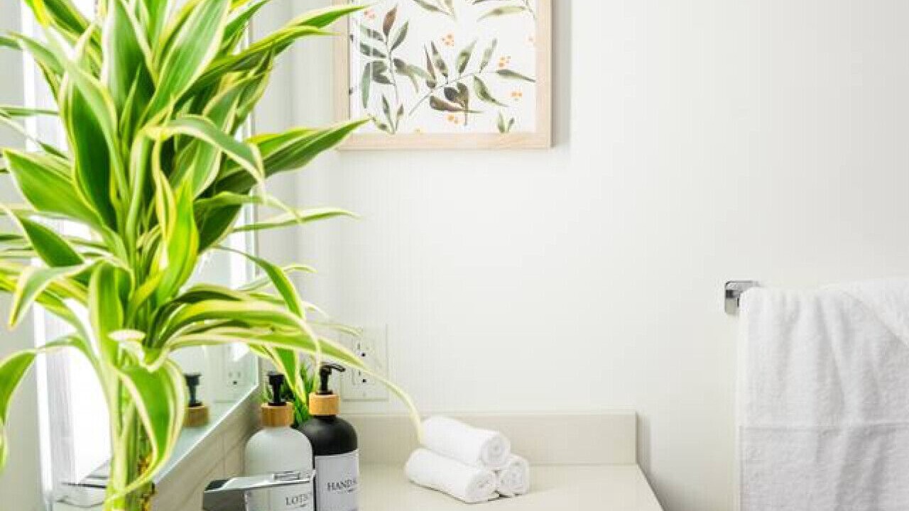 Photo of Bathroom in Southeast False Creek