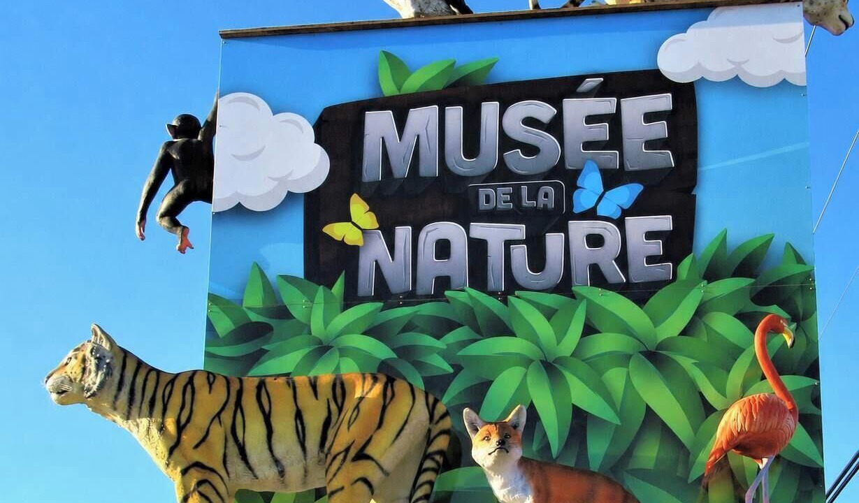 Photo of Others in Saint-Tite-des-Caps