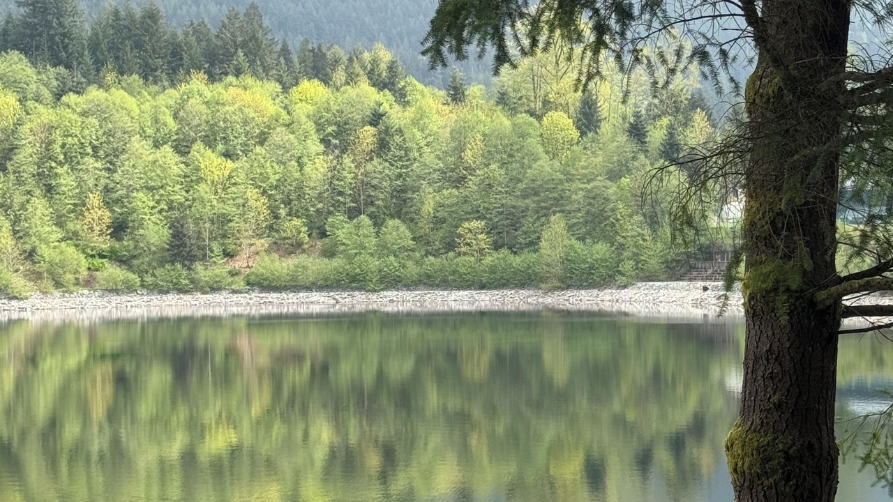 Photo of Others in West Vancouver