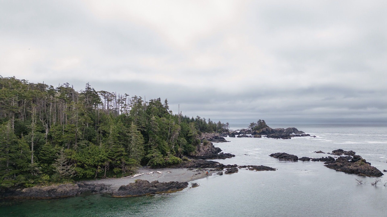 Photo of Others in Ucluelet