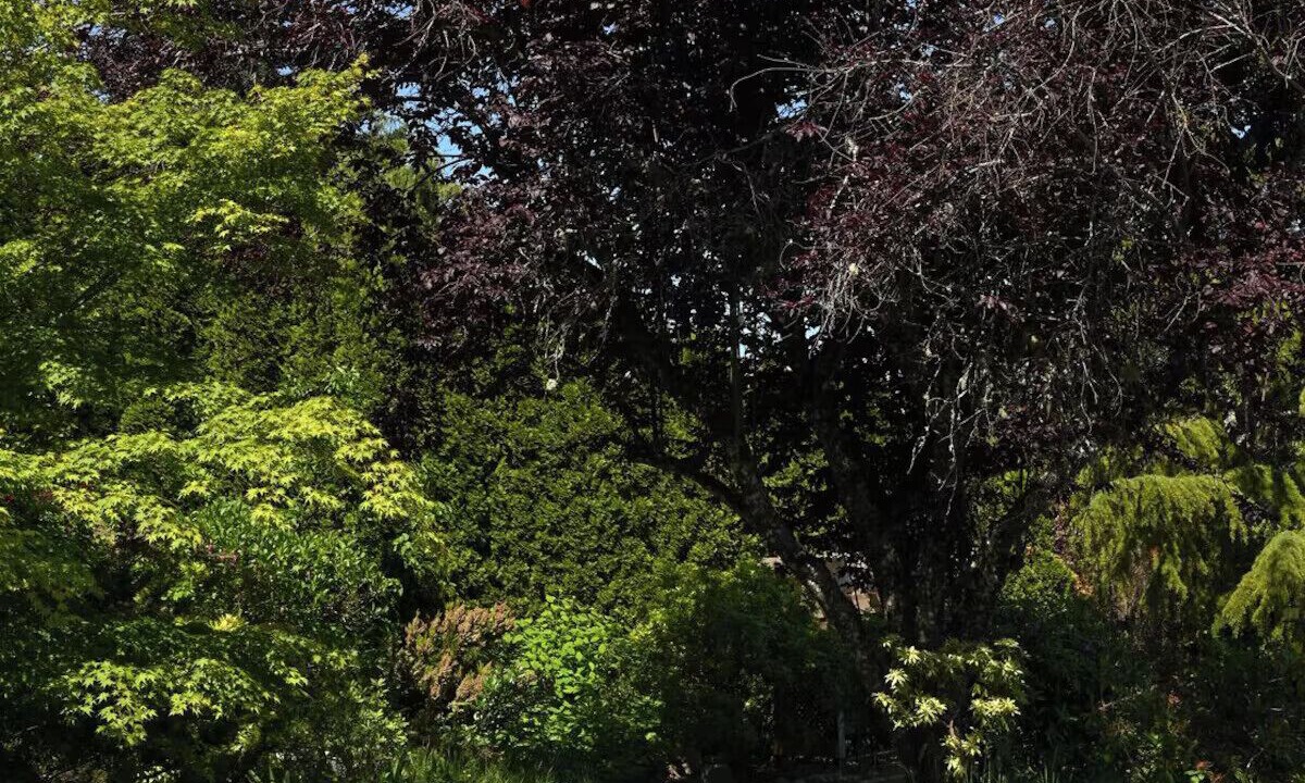 Photo of Others in Regional District of Nanaimo