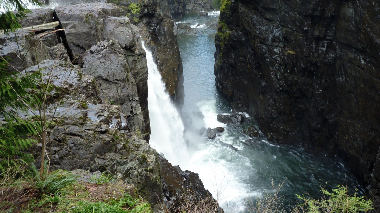 Photo of Others in Campbell River