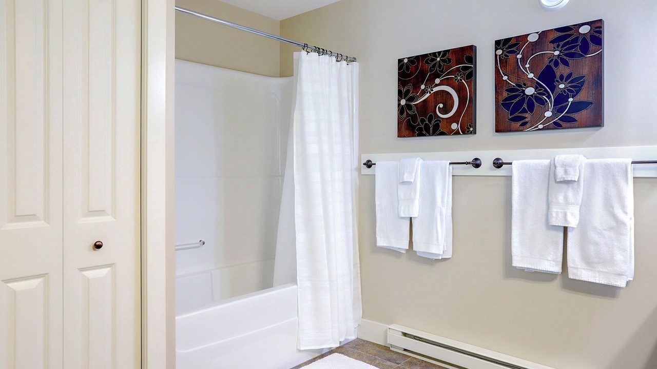 Photo of Bathroom in Silver Star Mountain