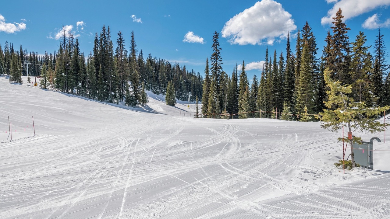 Photo of Others in Silver Star Mountain