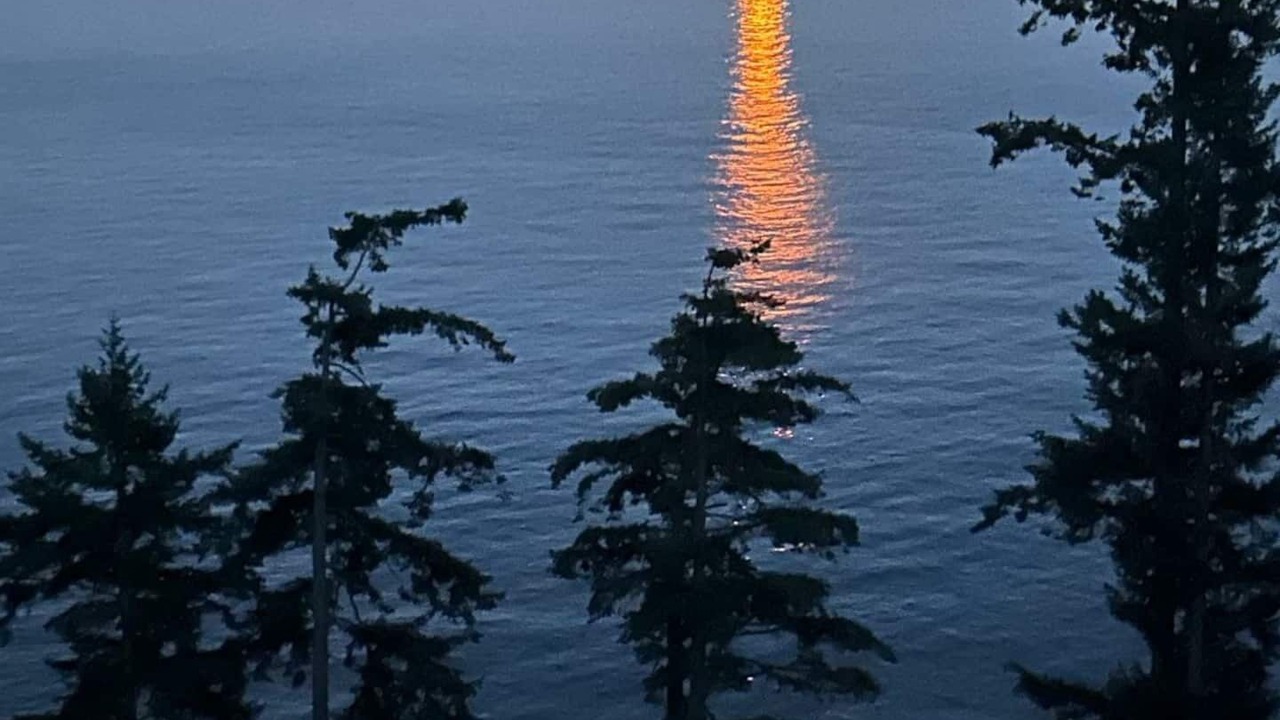 Photo of Others in Bowen Island