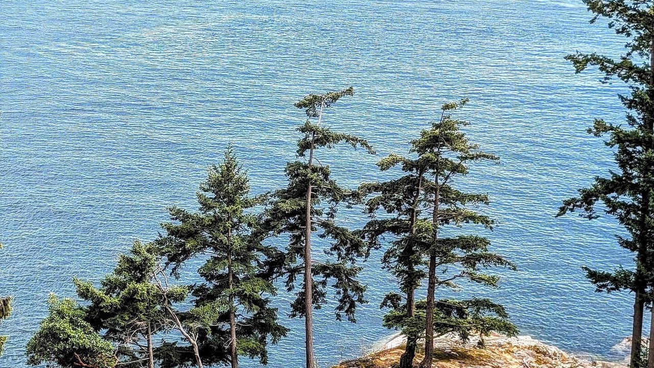 Photo of Patio Balcony in Bowen Island