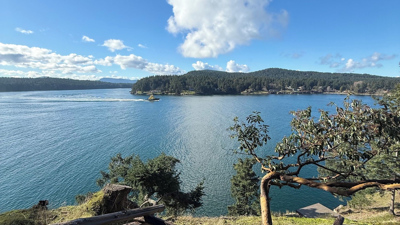 Photo of Others in Mayne Island
