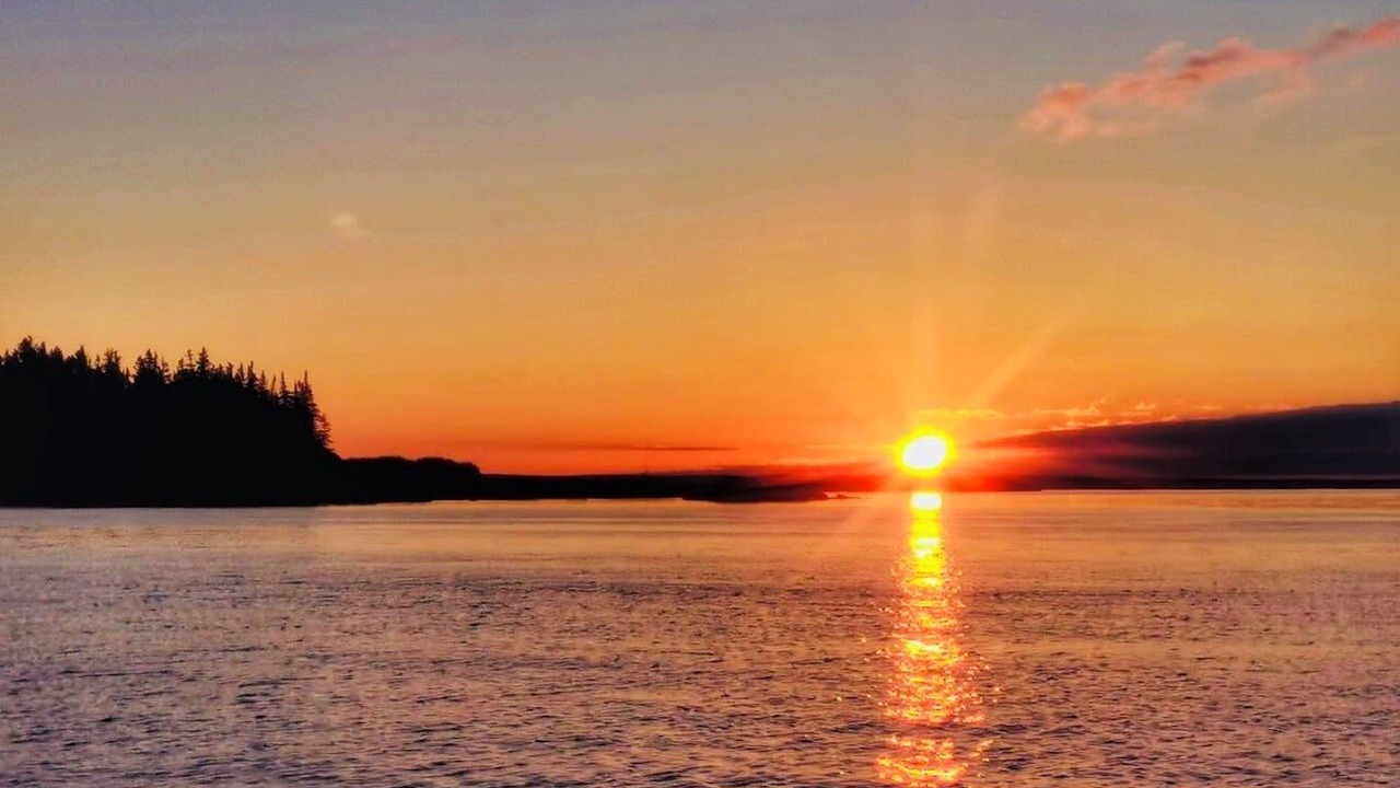 Photo of Others in Chemainus